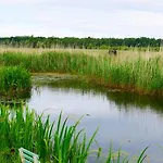Sloneczny Dom I Na Wynajem 3* 웨바