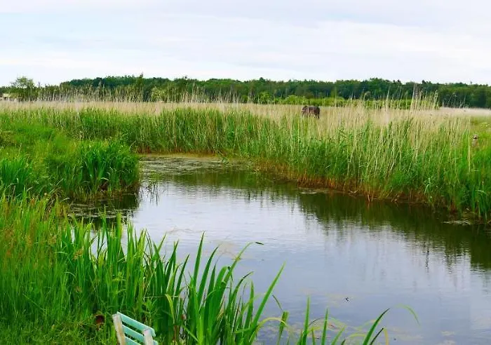 Sloneczny Dom I Na Wynajem 3* Леба